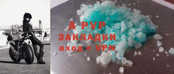 прущие грибы Магадан