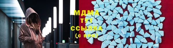 прущие грибы Магадан