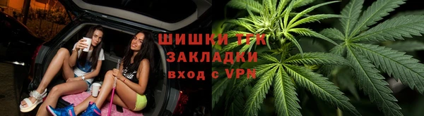 apvp Магас