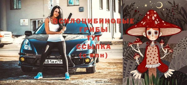 прущие грибы Магадан