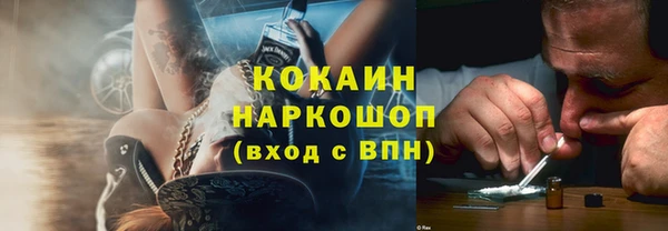 прущие грибы Магадан