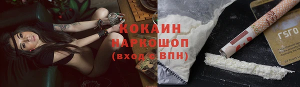 apvp Магас