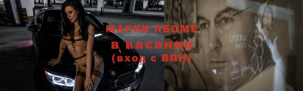 прущие грибы Магадан