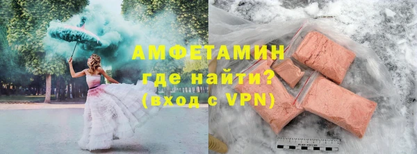 прущие грибы Магадан