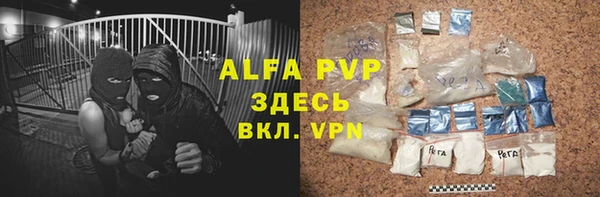 прущие грибы Магадан