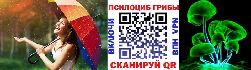 Псилоцибиновые грибы MAGIC MUSHROOMS  ОМГ ОМГ сайт  Шахты 