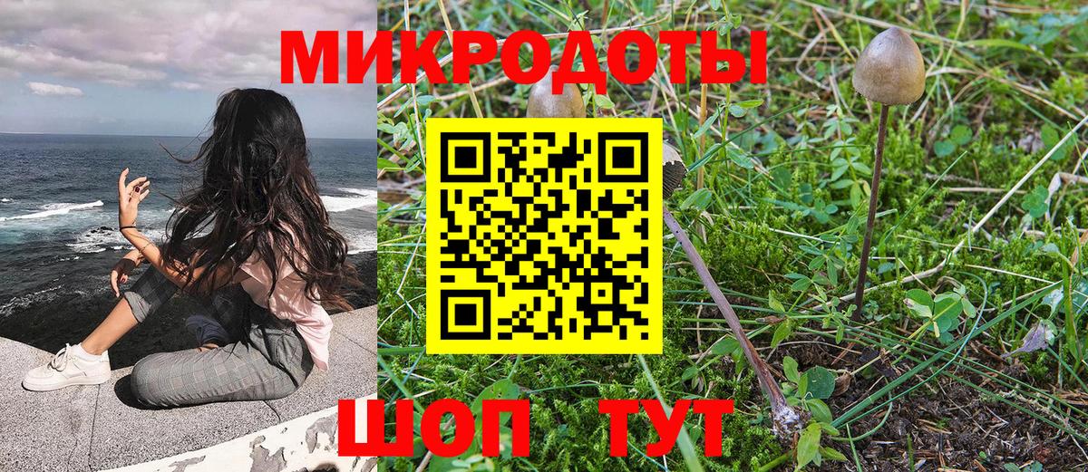 Галлюциногенные грибы мухоморы Шахты