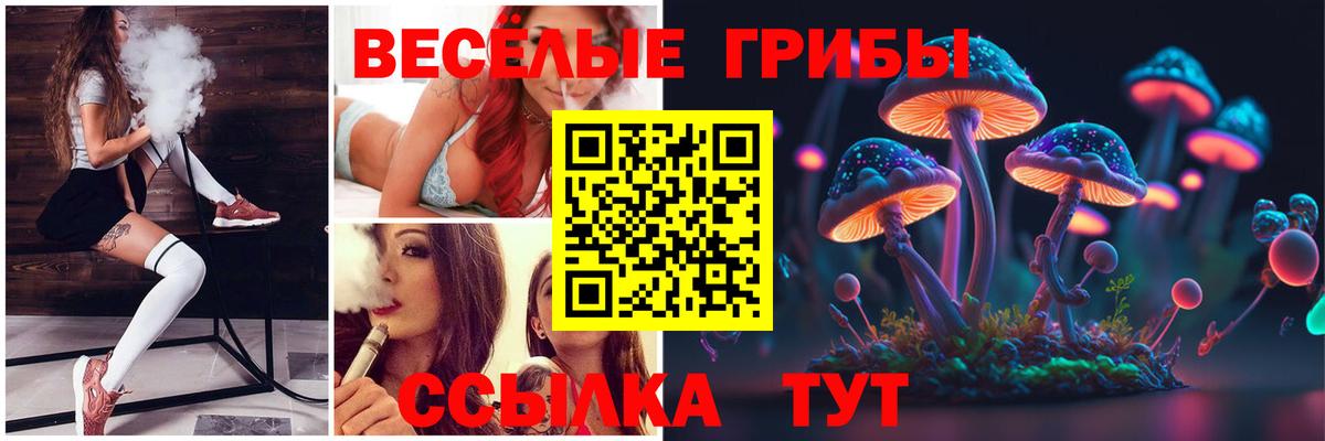 Шахты  Псилоцибиновые грибы Psilocybine cubensis  Галлюциногенные грибы Psilocybine cubensis  Вход с VPN 
